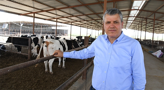"Suriye'den 100 bin hayvan için neden transit geçiş izni verildi?"