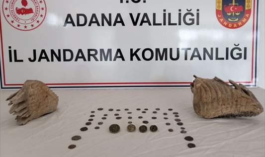 Adana'da mamut çenesi fosili bulundu