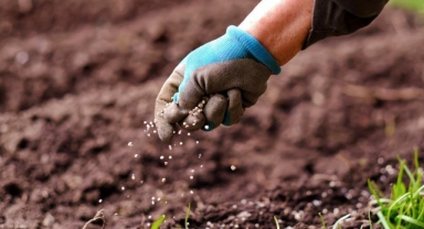 Çiftçinin korkulu rüyası: ''Sahte Gübre''