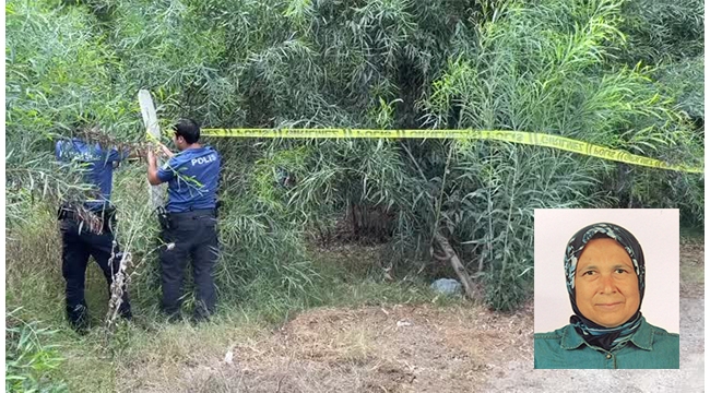 Kayıp kadın ormanlık alanda ölü bulundu