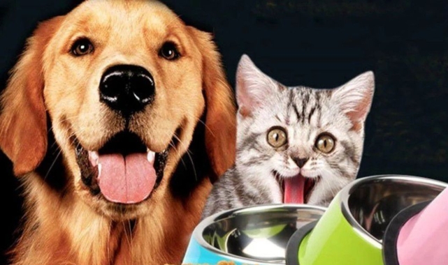 Kedi ve köpek maması satın alınacak