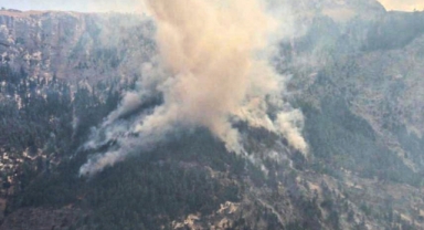 Mersin'deki orman yangınına müdahale sürüyor