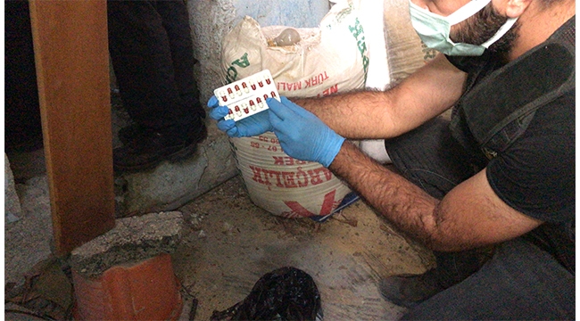 Uyuşturucu operasyonunda 12 zanlı yakalandı