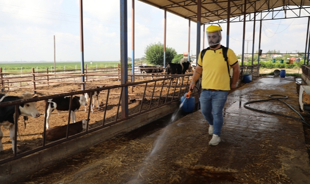 YÜREĞİR’DE VEKTÖRLE MÜCADELE ÇALIŞMASI