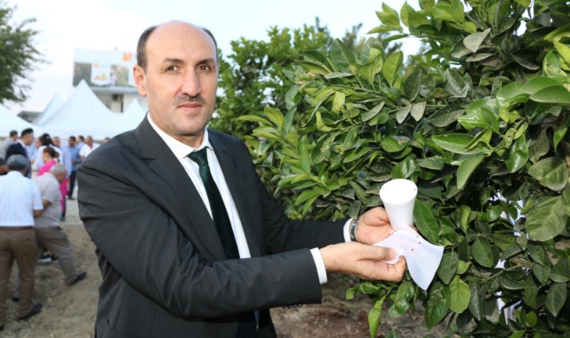 Avcı Böcekler Turunçgili Koruyacak