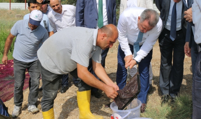 Göl ve Göletlere 10 Milyon Yavru Balık Bırakıldı