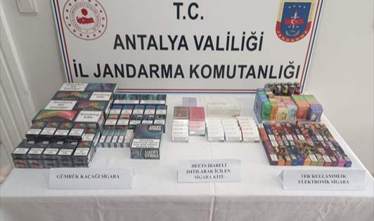 Manavgat'ta kaçakçılık operasyonu:1 Gözaltı