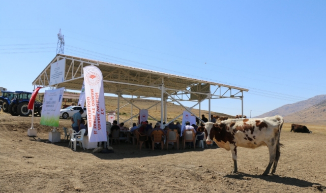 Meralarda Hayvan Refahı Artıyor