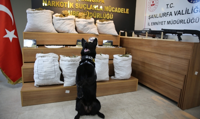 Narkotik Operasyonunda 86 Gözaltı