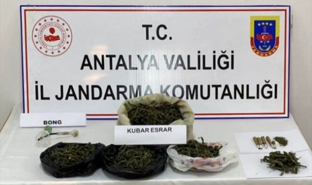 Sattığı uyuşturucuları evinde yetiştiriyormuş