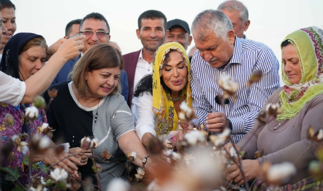 Türkan Şoray’ın hasadı yapıldı