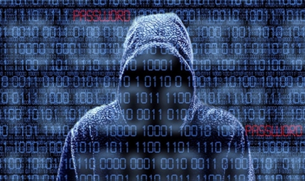 Hacker'lar Vatandaşların Bilgilerini Ele Geçirdi
