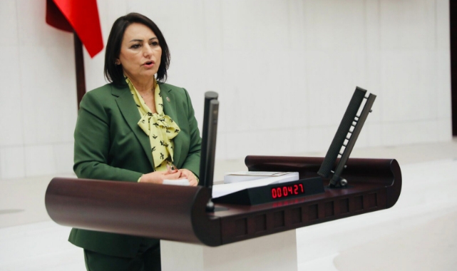 Şevkin'den Soylu'ya ''Evdeki Yabancı Kim?'' Sorusu