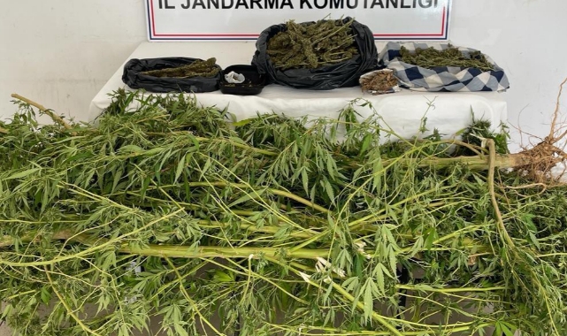 Uyuşturucu Operasyonu