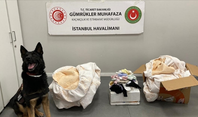 Bakın Neler Çıktı!