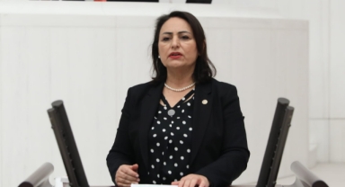 Adana'daki Elektrik Kesintileri Meclis Gündeminde