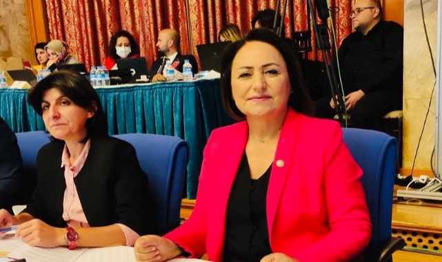 ‘Adana Gümrük Müdürlüğü’nü de havaalanını da kapattırmayacağız’