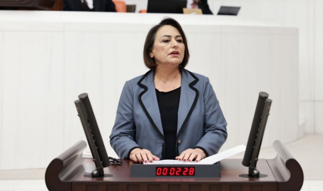 “Aleviler, Anayasal güvence altına alınmış eşit temsiliyet istiyor”