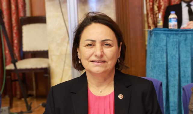 CHP'li Şevkin: ''Yaşlılar Devlet Desteğinden Yoksun''