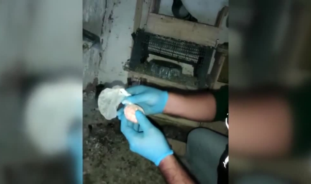 Güvercin kümesinde uyuşturucu çıktı!