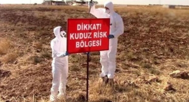 Kuduz şüphesiyle iki mahalle karantinaya alındı