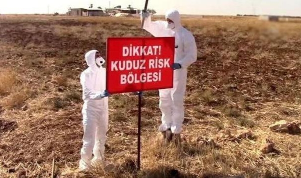 Kuduz şüphesiyle iki mahalle karantinaya alındı