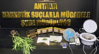 Uyuşturucu operasyonu: 1 gözaltı