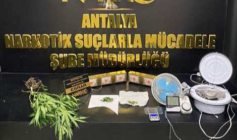 Uyuşturucu operasyonu: 1 gözaltı