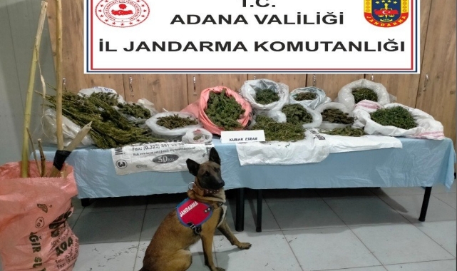 Çiftlik evine uyuşturucu operasyonu