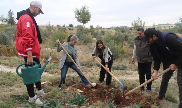 ÇÜ Kozan MYO Öğrencileri Fidan Dikimi Yaptı