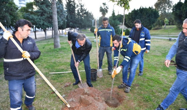 Çukurova’da turunç seferberliği