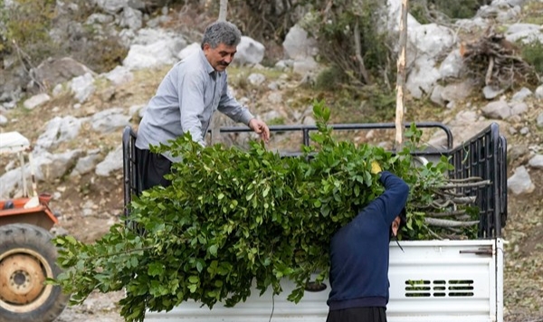 Defne ile yüzler gülüyor