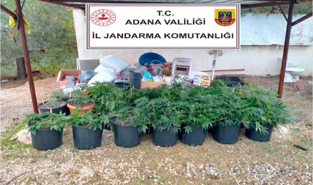 Kiraladıkları villada uyuşturucu serası kurdular!