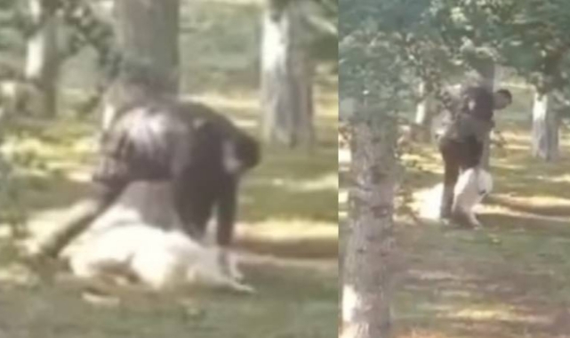 Önce sopayla dövdü sonra yumrukladı!