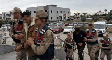 Zeytin hırsızları tutuklandı