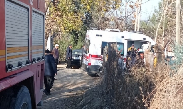 Budamak için çıktığı ağaçta kalp krizi geçirip öldü