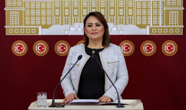 CHP'li Şevkin'den Kadınların İş Gücüne Kazandırılması İçin Kanun Teklifi