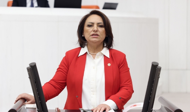 CHP'li Şevkin'den “Türkiye, Yatırım Fakiri!” İddiası!