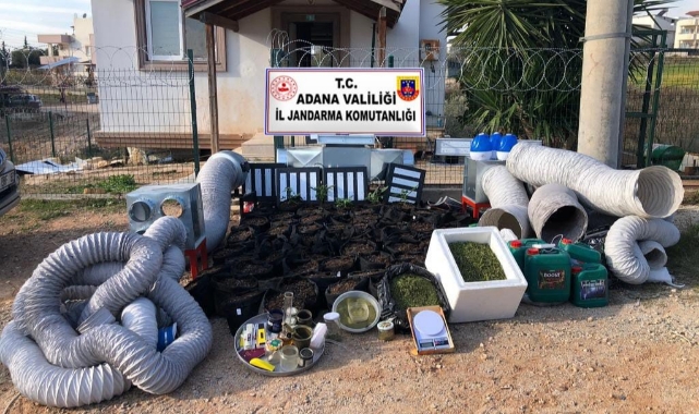 Kiraladığı villada iklimlendirme sistemi kurup, kenevir yetiştirdi!