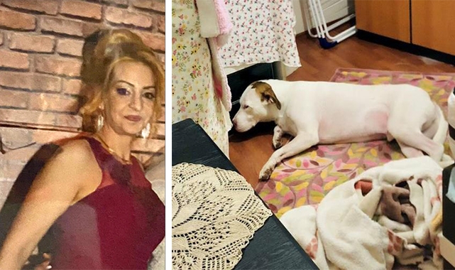 Yalnız yaşadığı evde ölü bulundu