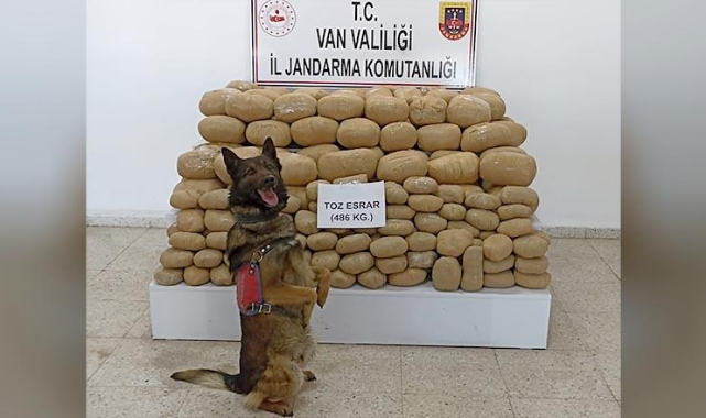 486 Kilogram Esrar Ele Geçirildi