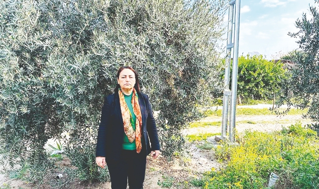 CHP'li Şevkin'den Hazine Arazilerinin Satışına Sert Tepki!