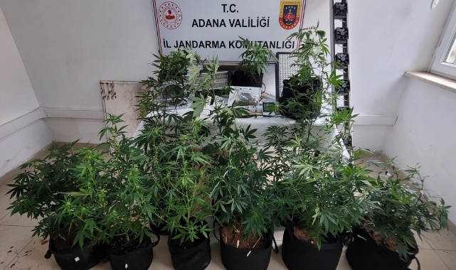 Uyuşturucu operasyonu