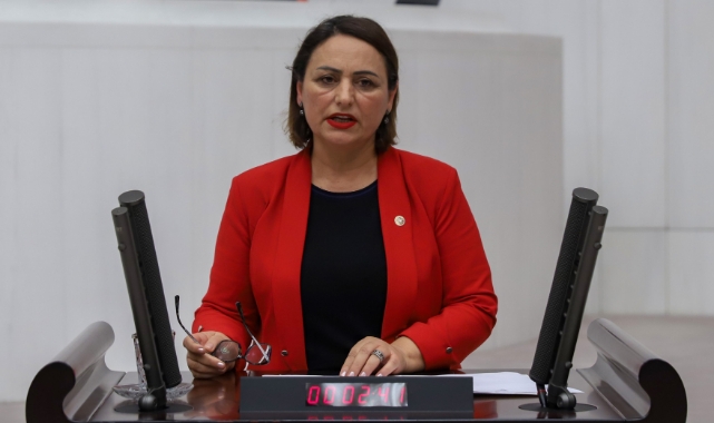 CHP'li Şevkin: ''TSK Neden Harekete Geçmedi?''