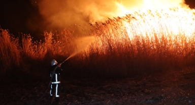 ''Kuş Cenneti'' Alev Alev Yandı