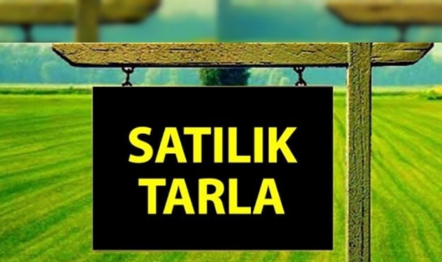 Silifke'de 10.000 m² Tarlanın 1/4 Hissesi İcradan Satılık