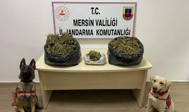 Uyuşturucu Operasyonu