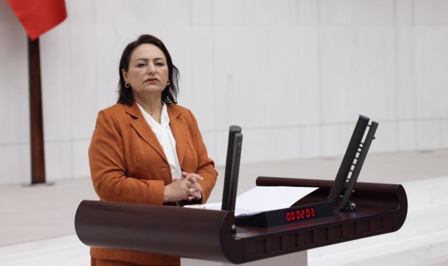 “Sismik Verilere Göre Karadeniz, Bir Deprem Kaynağıdır”