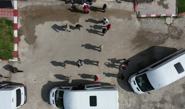 136 Düzensiz Göçmen, Ülkelerine Gönderildi