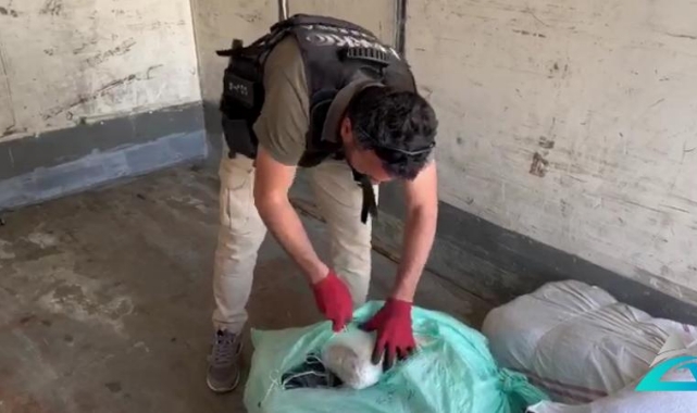 74 Kilo 800 Gram Skunk Ele Geçirildi